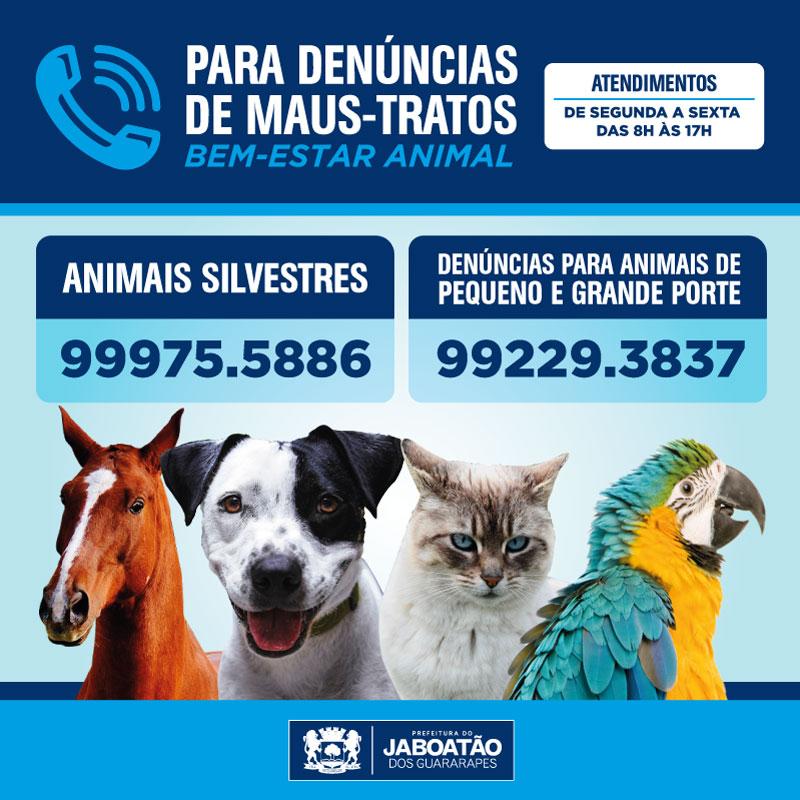 Imagem 9