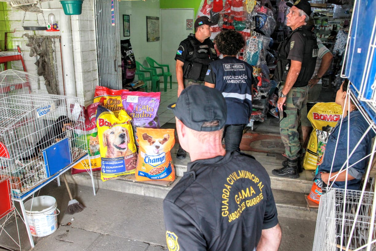 Leia mais sobre o artigo Fiscalização da Prefeitura do Jaboatão multa pet shop em Prazeres