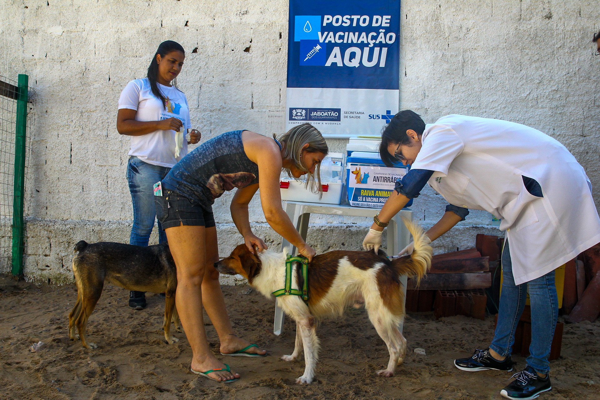 Leia mais sobre o artigo Jaboatão promove drive-thru para vacinação de cães e gatos